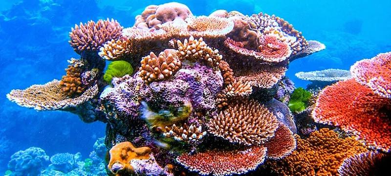 Przygotowanie do długiego lotu