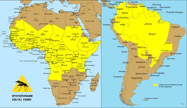 Przygotowanie do podróży w tropiki