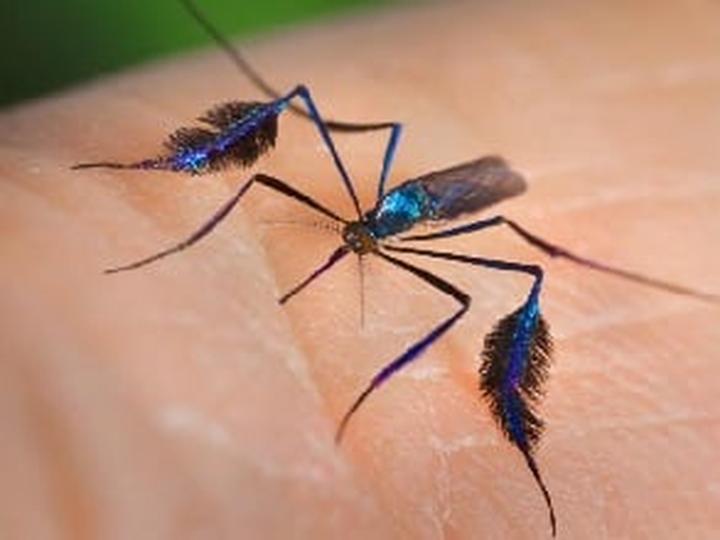 Zdrowie podróżnika