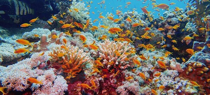 Ile trwa lot z Polski do Australii? Odkryj dokładny czas podróży!