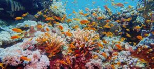 Ile trwa lot z Polski do Australii? Oto wszystko, co warto wiedzieć przed podróżą