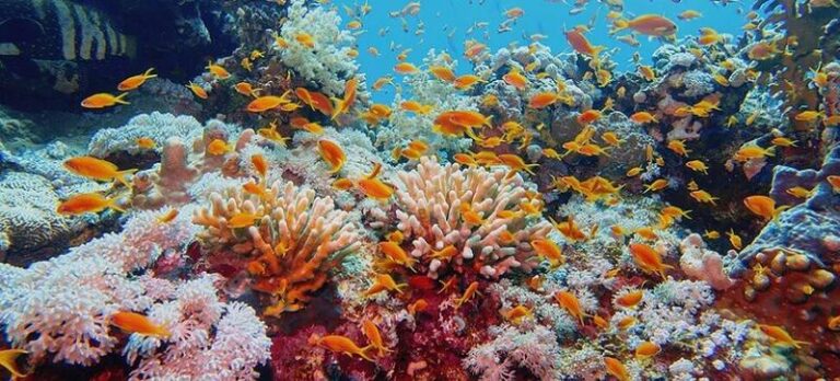 Ile trwa lot z Polski do Australii? Oto wszystko, co warto wiedzieć przed podróżą