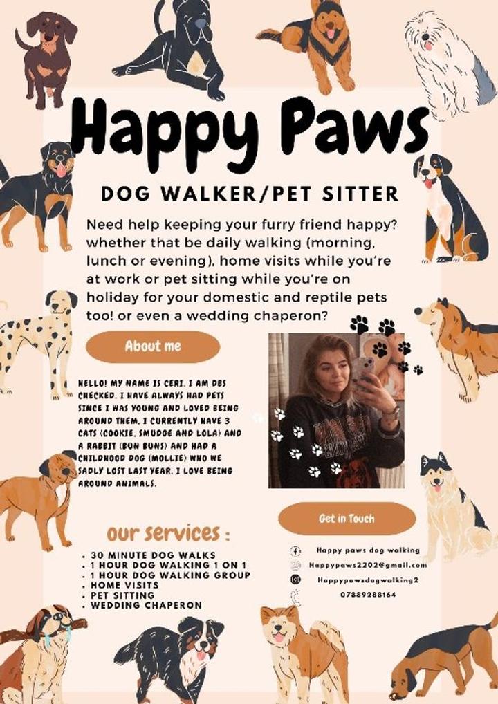 Korzyści z pet sittera