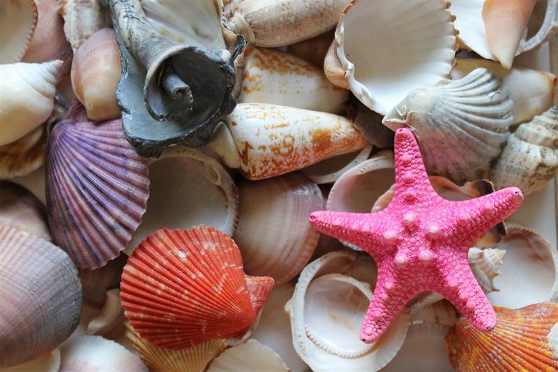 Kulturalne skarby świata