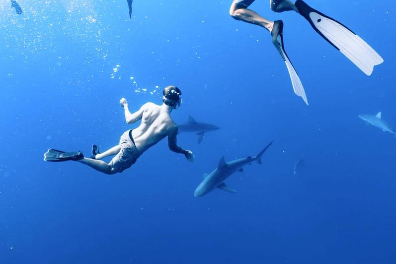 Bezpieczeństwo w wodzie