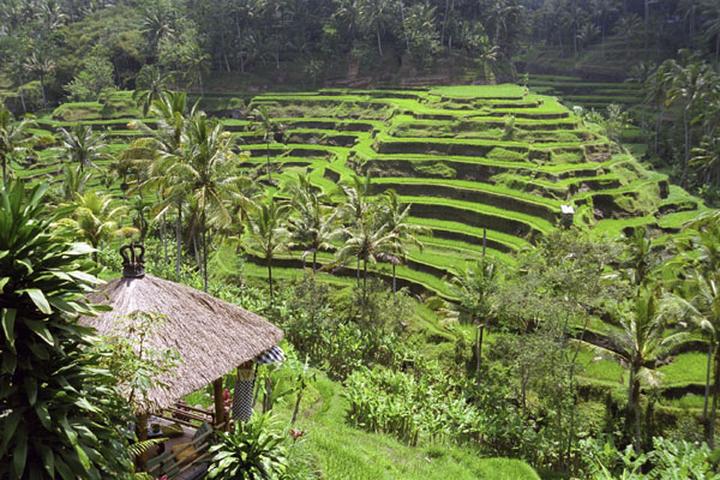 Egzotyczne krajobrazy Polski