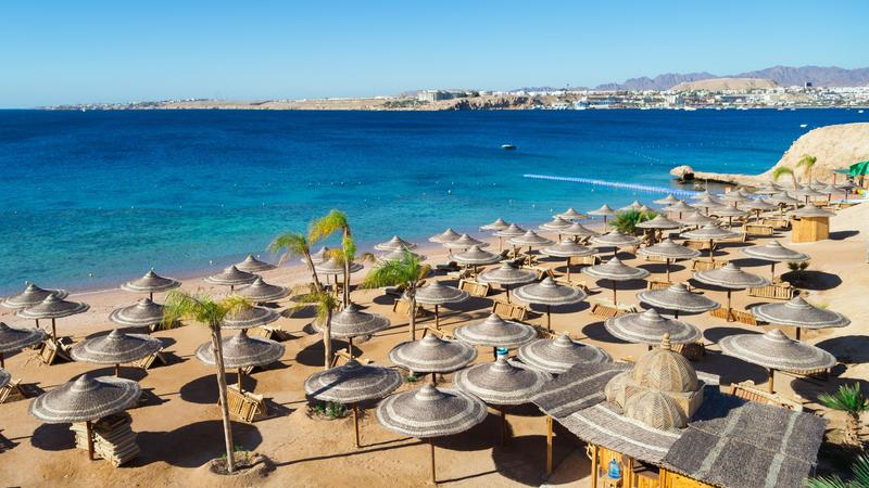 Praktyczne porady Egipt