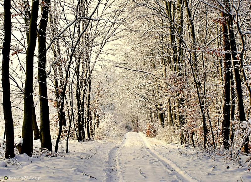 Rodzinne wypady zimowe