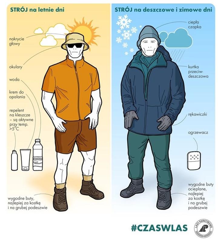 Sprzęt na wyjazd do lasu