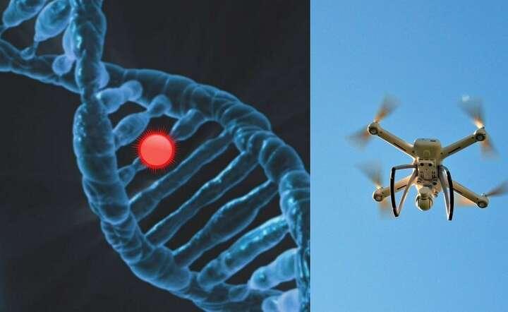 Trasy pociągów z Polski