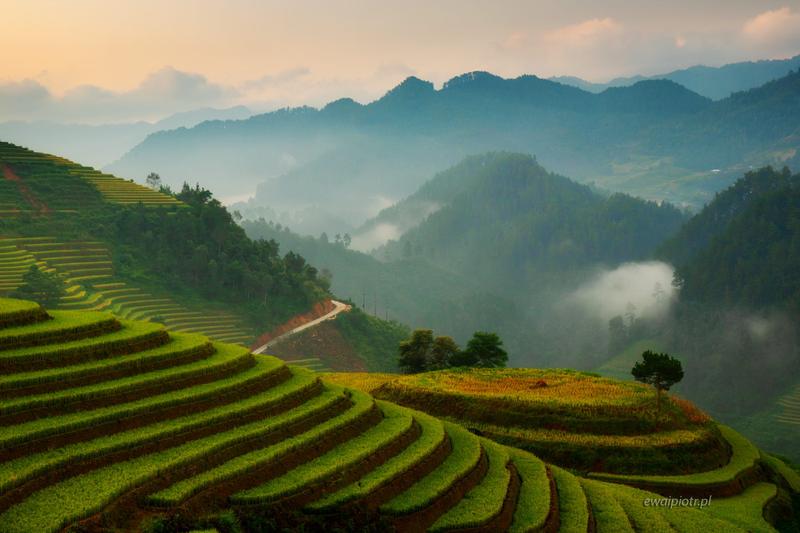 Usługi turystyczne w Wietnamie