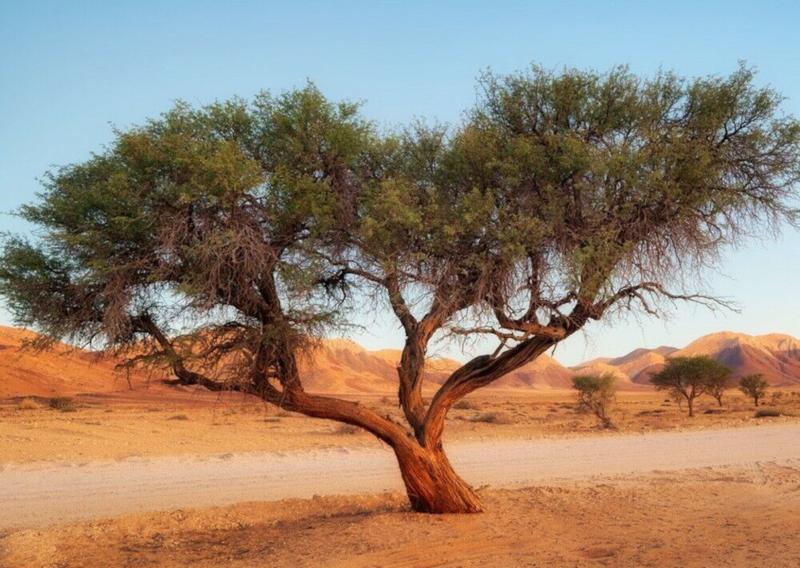 Zabytki i tradycje Senegalu