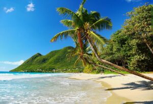 Martynika w 2023 roku: jakie są aktualne ceny wakacji, jedzenia i transportu?