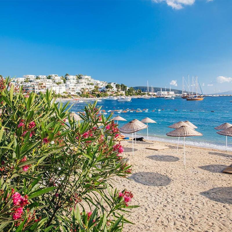 Bezpieczeństwo podróży do Turcji