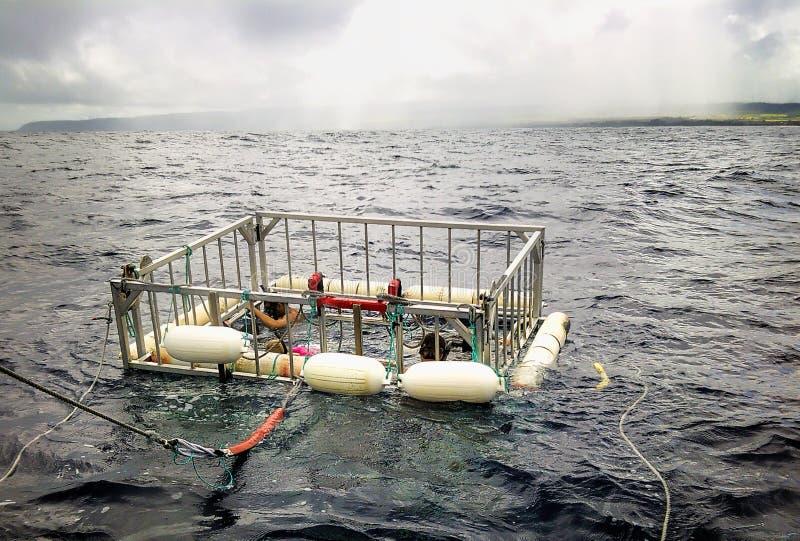 Bezpieczeństwo w wodzie na Hawajach
