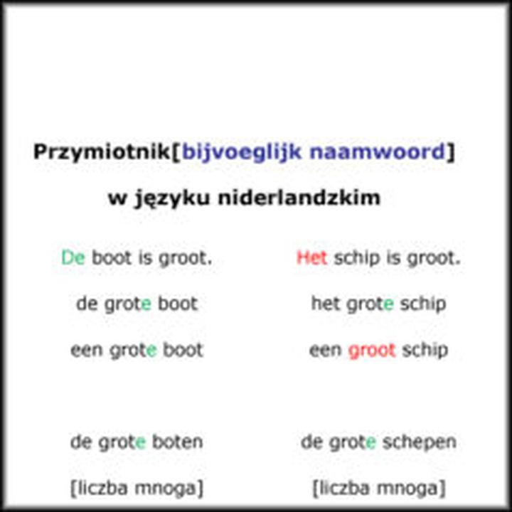 Skuteczne metody nauki niderlandzkiego