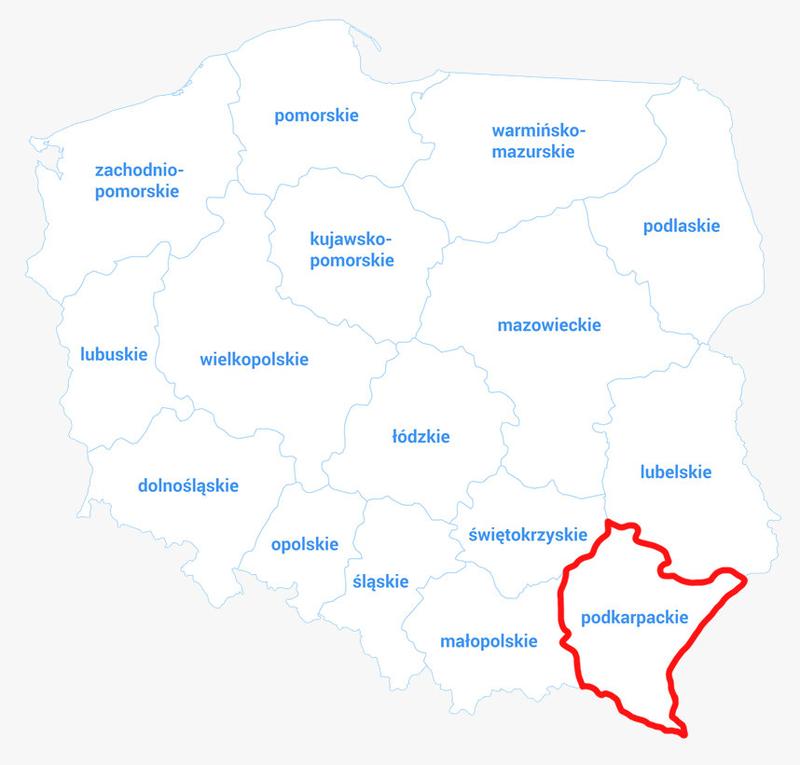 Rodzinny urlop na Podkarpaciu – odkryj niezapomniane korzyści tej wyjątkowej destinacji