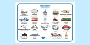 Odkryj różnorodne środki transportu, którymi możesz podróżować po Polsce