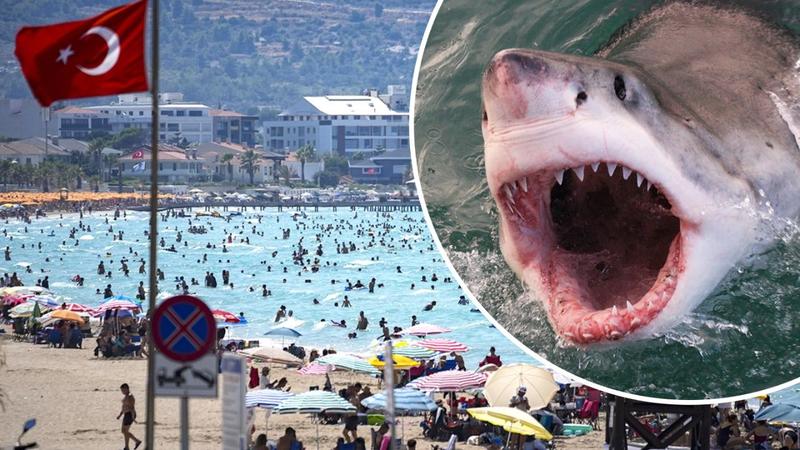 Rekiny w Turcji