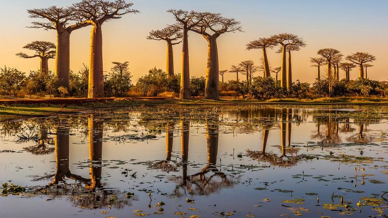 Ceny na Madagaskarze