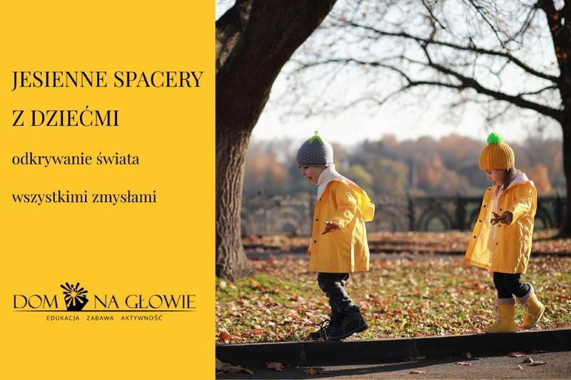 Leśne trasy spacerowe