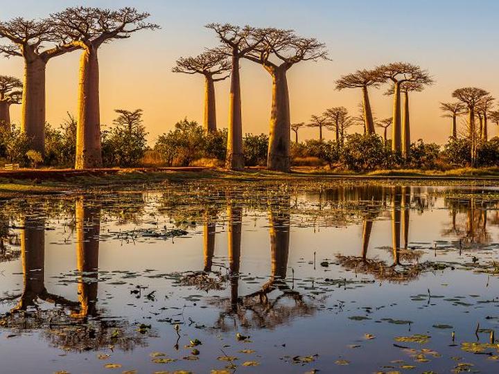 Jakie są aktualne ceny na Madagaskarze? Przewodnik po wakacjach, jedzeniu, transporcie i usługach