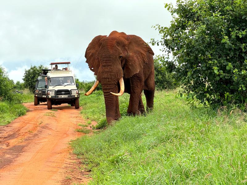 Lista rzeczy do Kenii