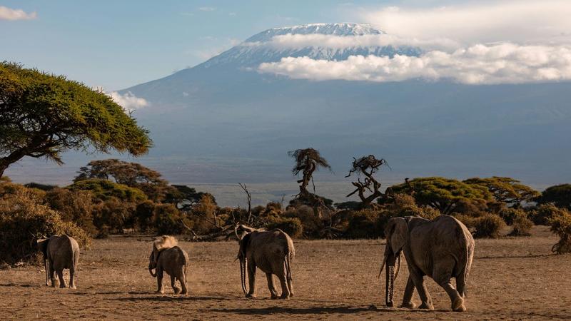 Odzież i obuwie na klimat Kenii