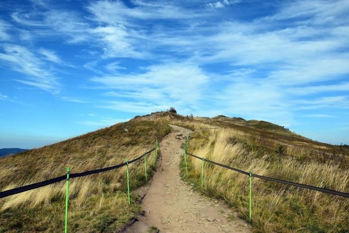 Smaki regionu bieszczadzkiego