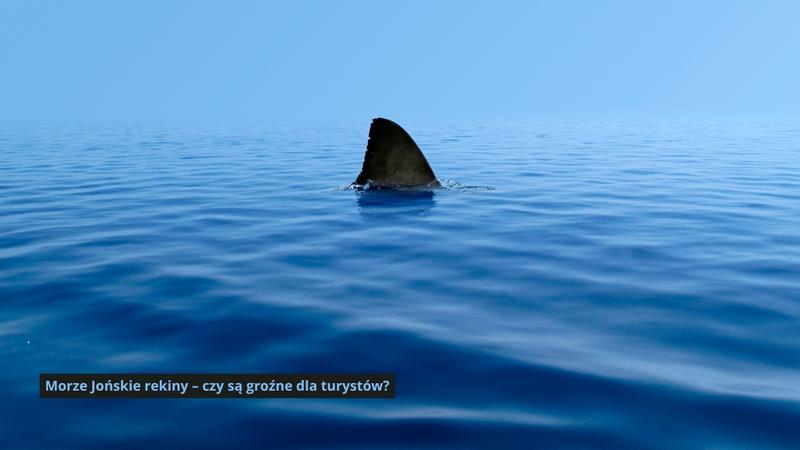Rekiny w Morzu Jońskim