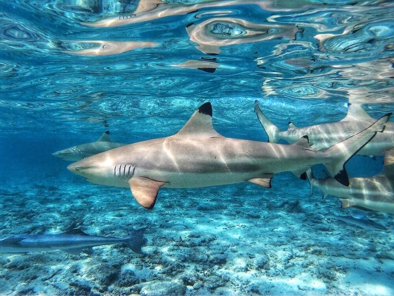 Bezpieczeństwo na plażach Grecji